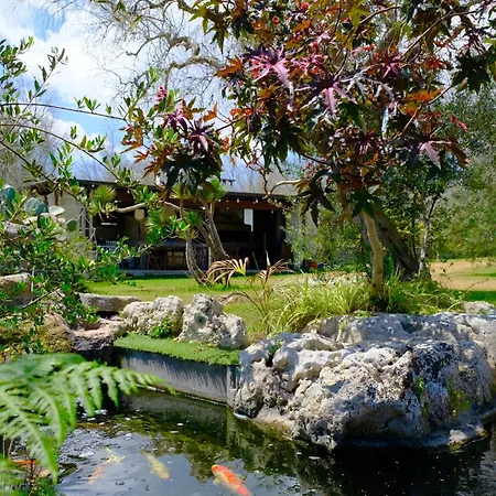 Anna's House * Borgagne